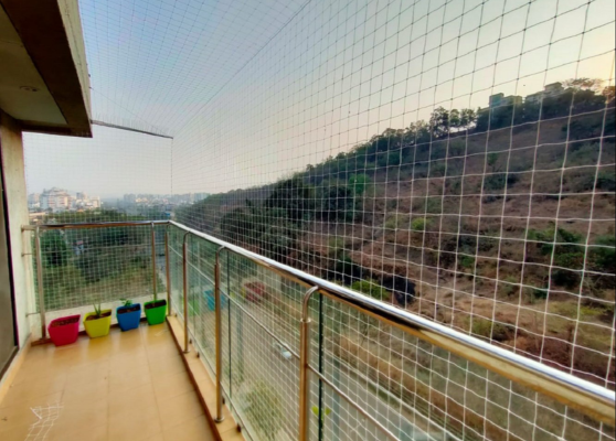Balcony Bird Netting Nagpur